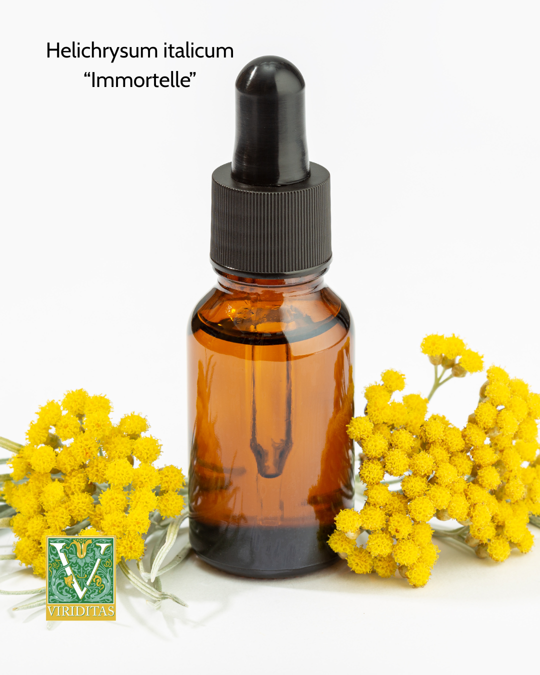 small amber dropper bottle with yellow helichrysm flowers to the sides