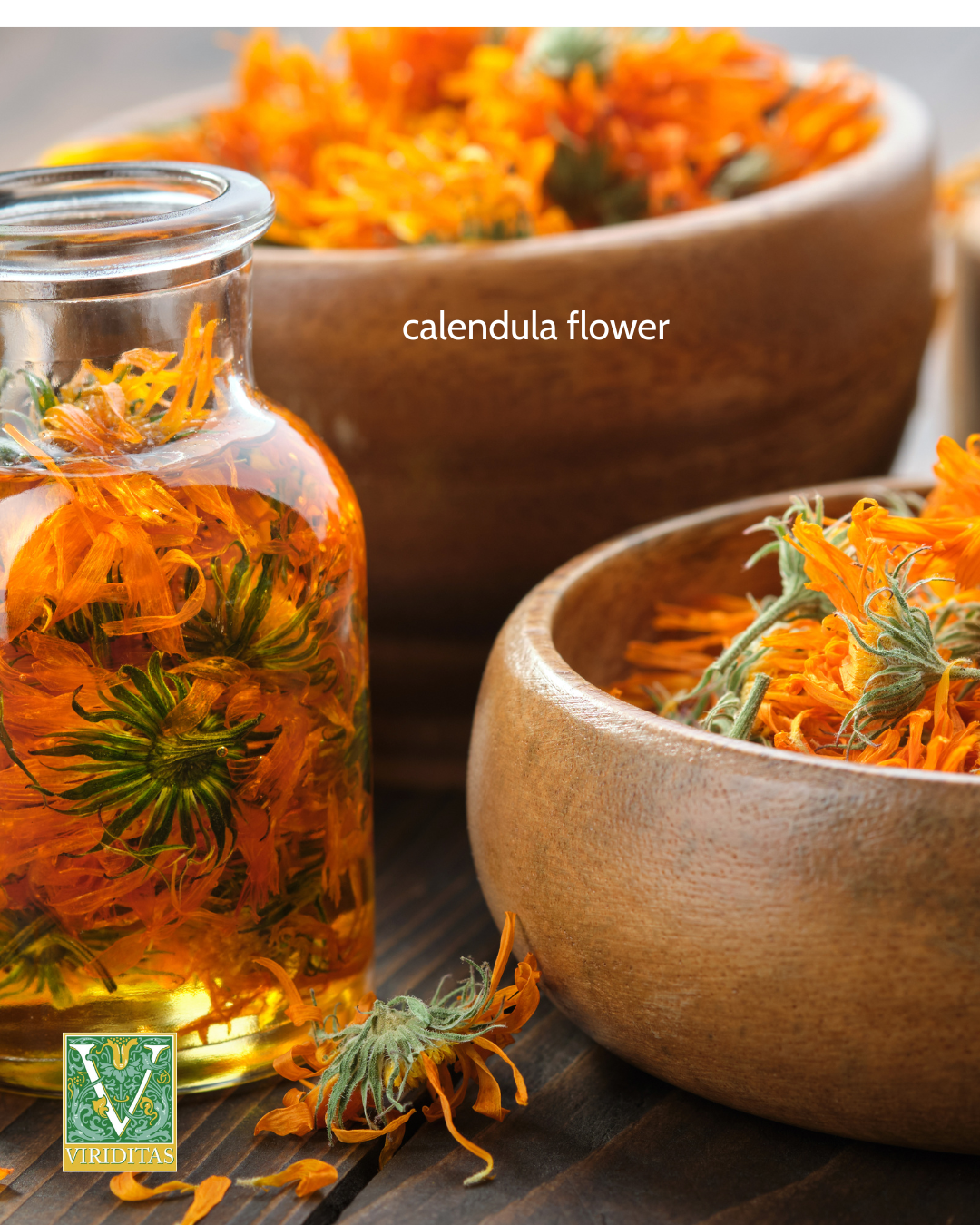 Viriditas Beauty Green Tea Mild Toner with Chamomile and Frankincense