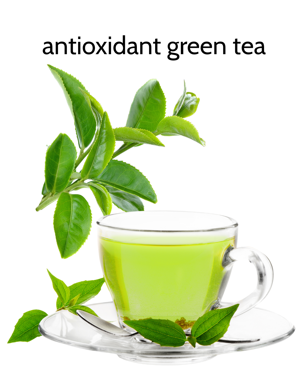Viriditas Beauty Green Tea Mild Toner with Chamomile and Frankincense