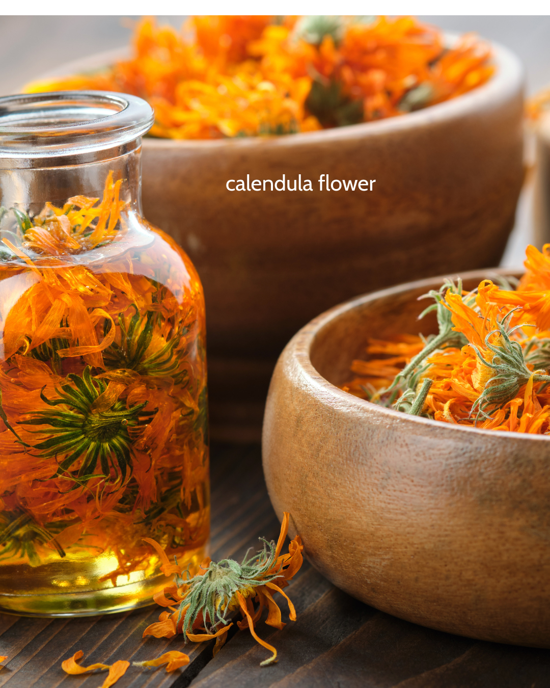 Reactive RES-Q Cream from Viriditas Beauty