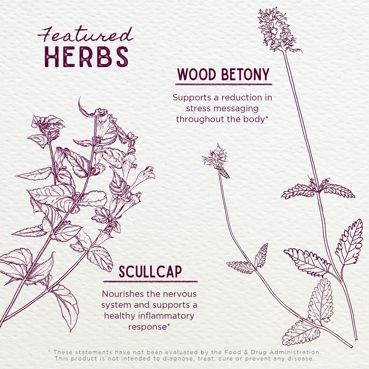 Serious Relaxer & Muscle Tension Herbal Tonic