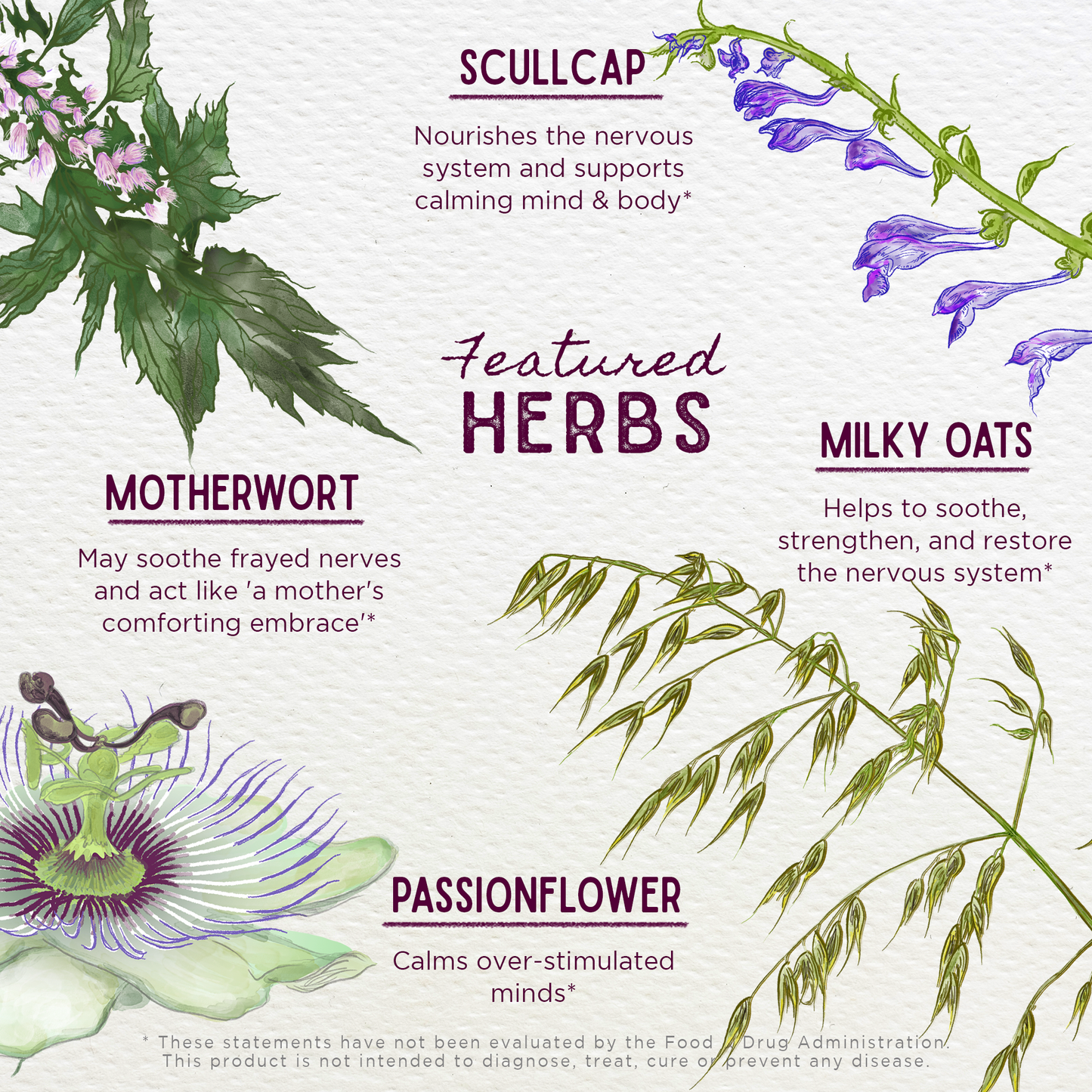 Emotional Ally: A Big Herbal Hug Tonic