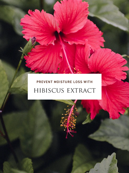 Roccoco Botanicals Midnight Crystal Sheet Mask