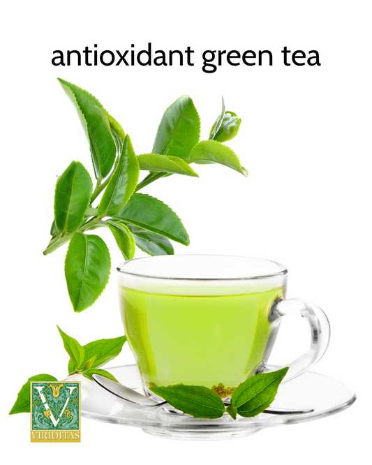 cup of green tea with fresh tea leaves and the caption Antioxidant Green Tea