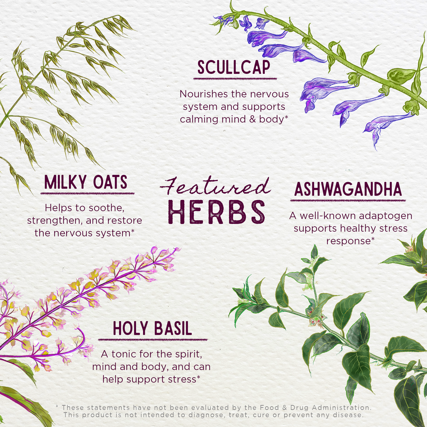 Deep Stress Daily Calm Herbal Tonic