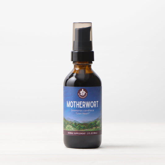 Motherwort Herbal Tincture